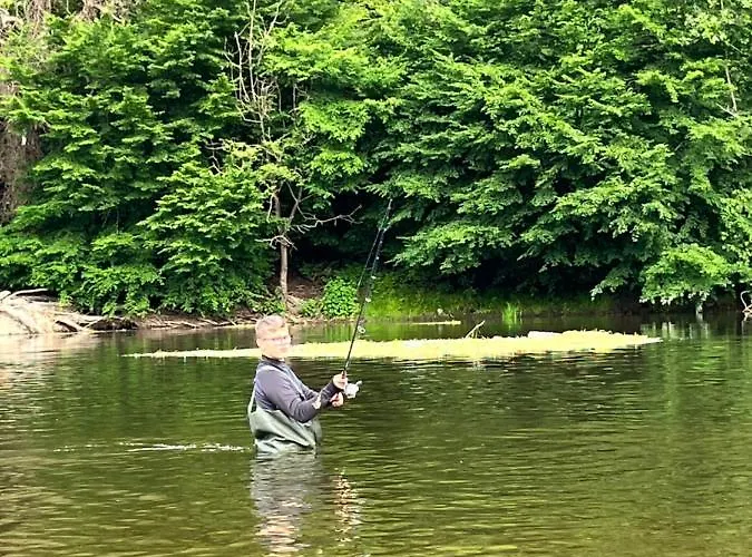 Maison Castor Holiday home Vresse-sur-Semois